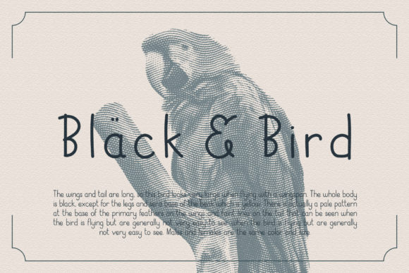 Black Bird Handwritten Font for Crafters & Sellers
