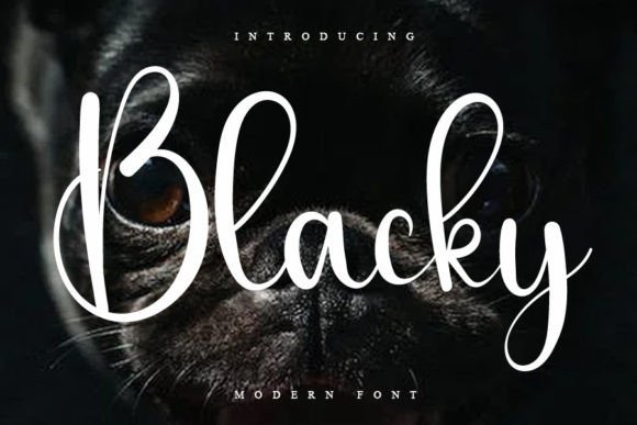 Blacky: A Thoughtful Script Font for Editorial Warmth