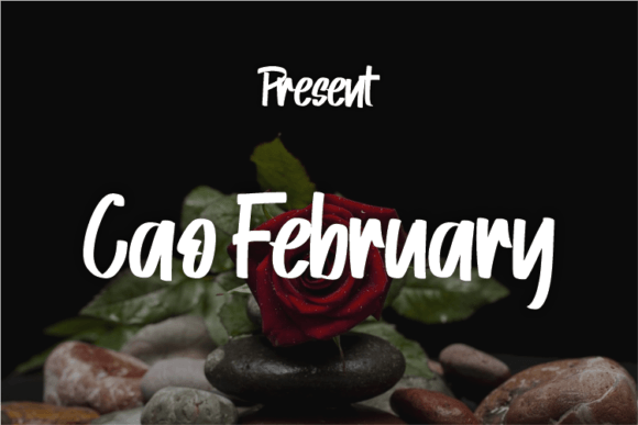 Cao February: A Modern Script Typeface for Thoughtful Editorial Design