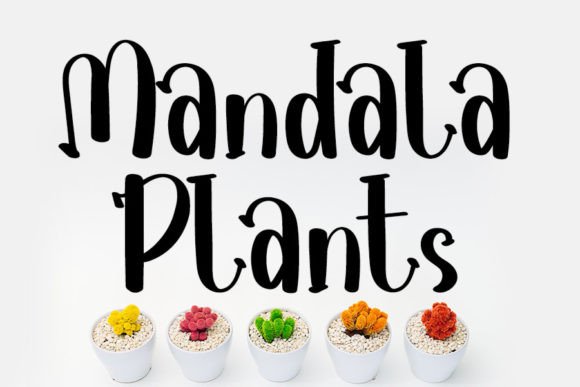 Mandala Plants: A Handwritten Font That Elevates Campaign Visuals